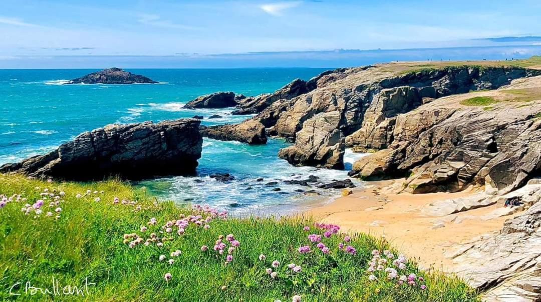 Appartement Cocon A Quiberon Dans Residence Calme, Plages Et Centre Ville A Pied Ou A Velo Pour 2 A 4 Personnes Exterior foto