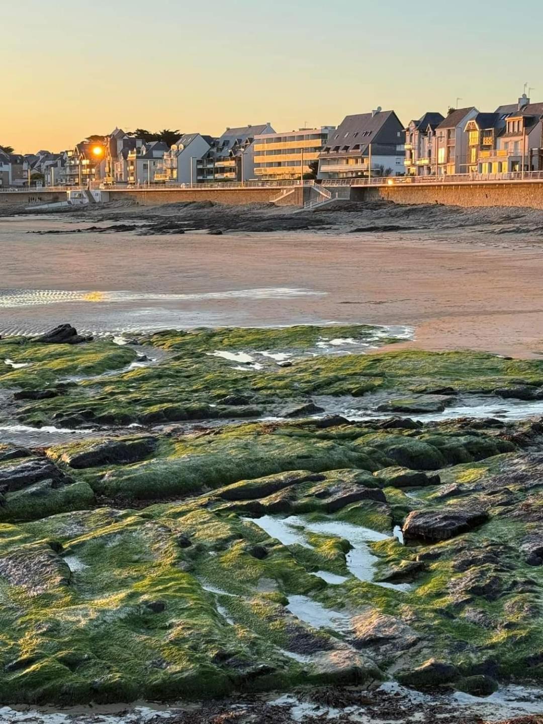Appartement Cocon A Quiberon Dans Residence Calme, Plages Et Centre Ville A Pied Ou A Velo Pour 2 A 4 Personnes Exterior foto